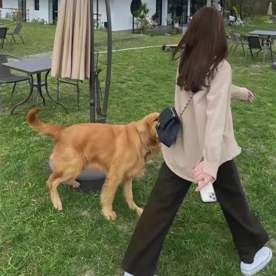 圣经：公元后的故事